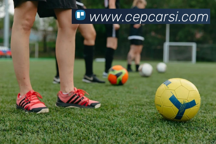 App 示例图